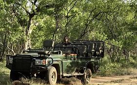 Karongwe Portfolio- Shiduli Private Game Lodge